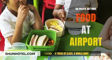 Do Pilots Enjoy Free Meals at Airports? Uncovering the Perks