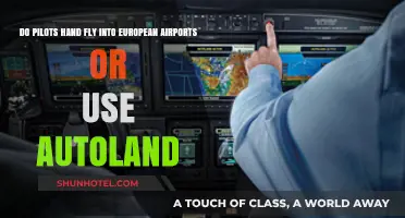 Pilots vs. Autoland: Hand-Flying into European Airports Explained