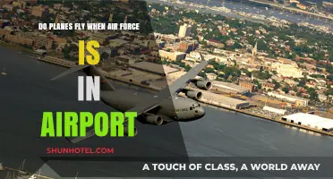 Do Planes Fly When the Air Force Occupies the Airport?