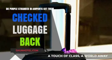 Purple-Stranded Travelers: Do They Recover Their Checked Luggage at Airports?