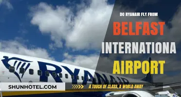 Ryanair Flights from Belfast International: Routes, Schedules, and Tips