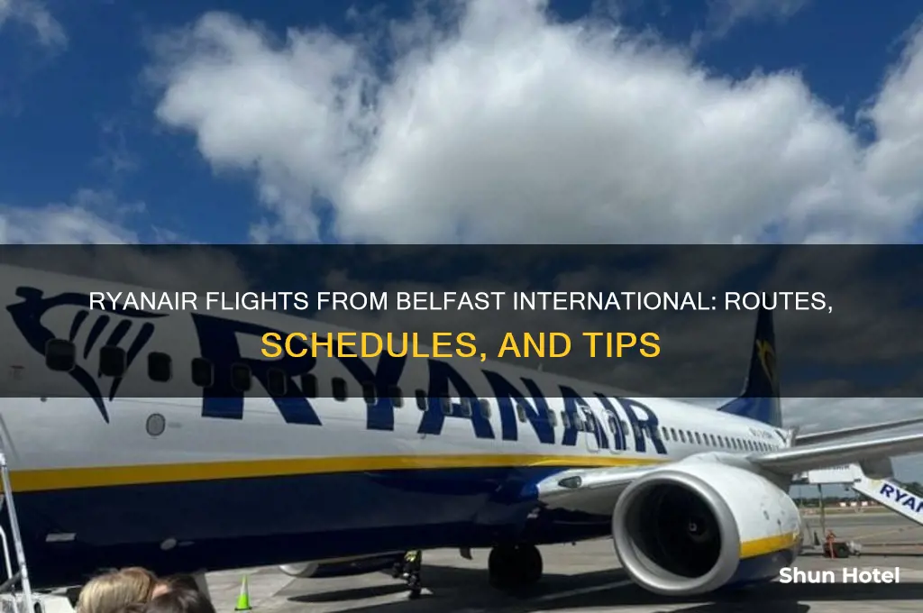 do ryanair fly from belfast international airport