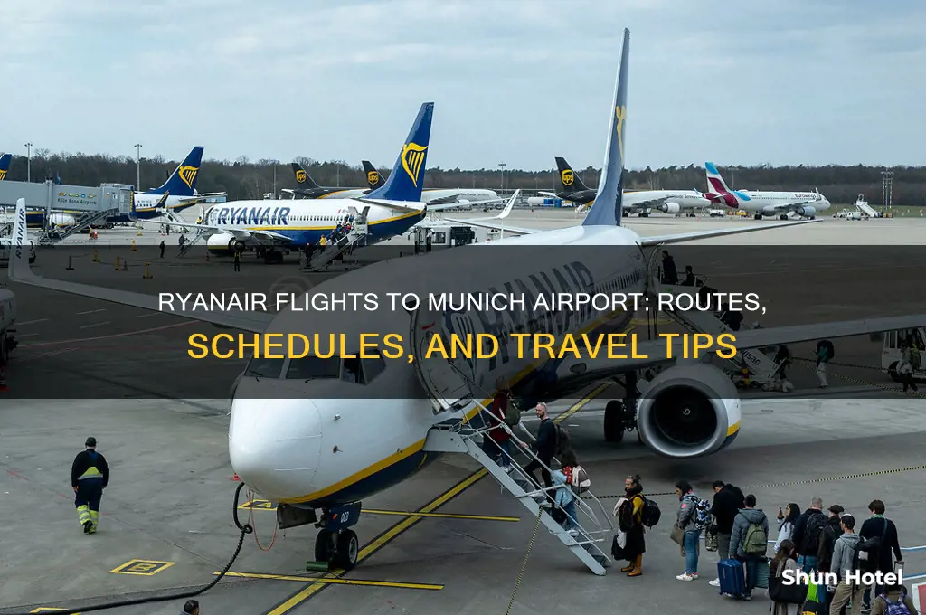 do ryanair fly to munich airport