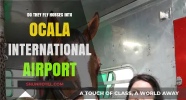 Flying Horses to Ocala: Unveiling Equine Travel at International Airport