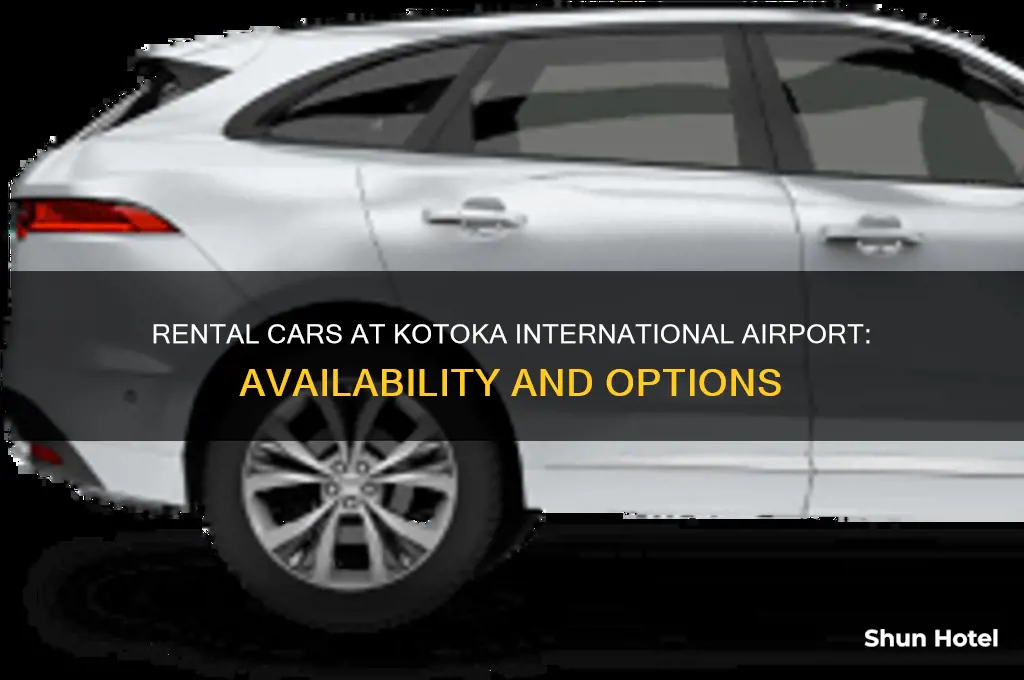 do they have rental cars at kotoka international airport