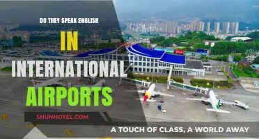 Navigating Global Travel: English Proficiency in International Airports Explained