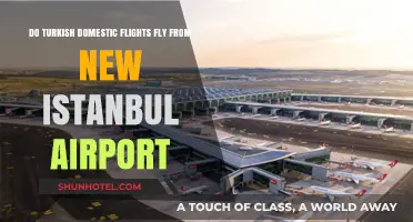 Do Turkish Domestic Flights Operate from New Istanbul Airport?