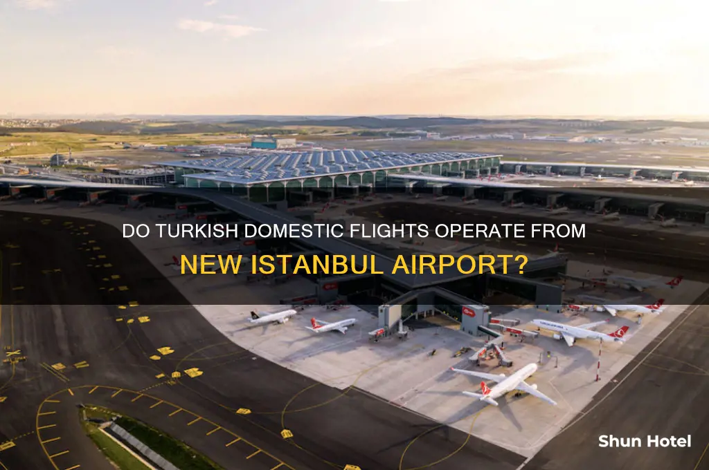 do turkish domestic flights fly from new istanbul airport