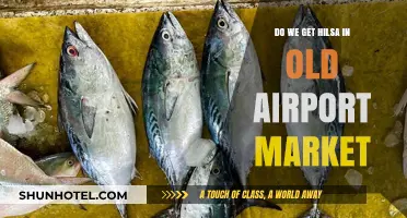 Exploring Old Airport Market: Is Hilsa Fish Available There?