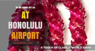 Will You Receive a Lei at Honolulu Airport? Here's What to Expect