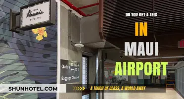 Arriving in Maui: Leis at the Airport – What to Expect