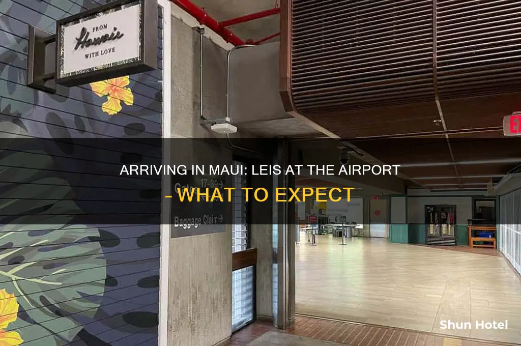 do you get a leis in maui airport