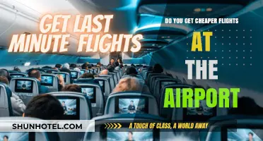 Airport Ticket Prices: Are Last-Minute Flights Cheaper at the Counter?