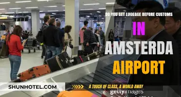 Navigating Amsterdam Airport: Luggage Collection Before Customs Explained