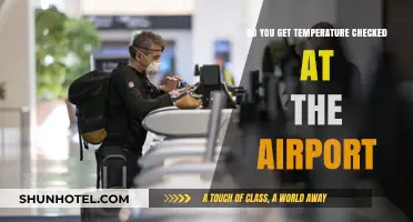 Airport Health Checks: Temperature Screening Procedures Explained