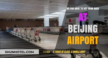 Beijing Airport Baggage Claim: Do You Need to Collect Your Luggage?