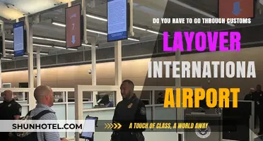 Navigating Customs During International Airport Layovers: What You Need to Know