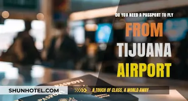 Flying from Tijuana Airport: Passport Requirements Explained for Travelers