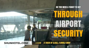 Airport Security Access: Ticket Requirements Explained for Travelers