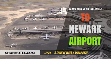 Flying to Newark Airport: COVID-19 Testing Requirements Explained