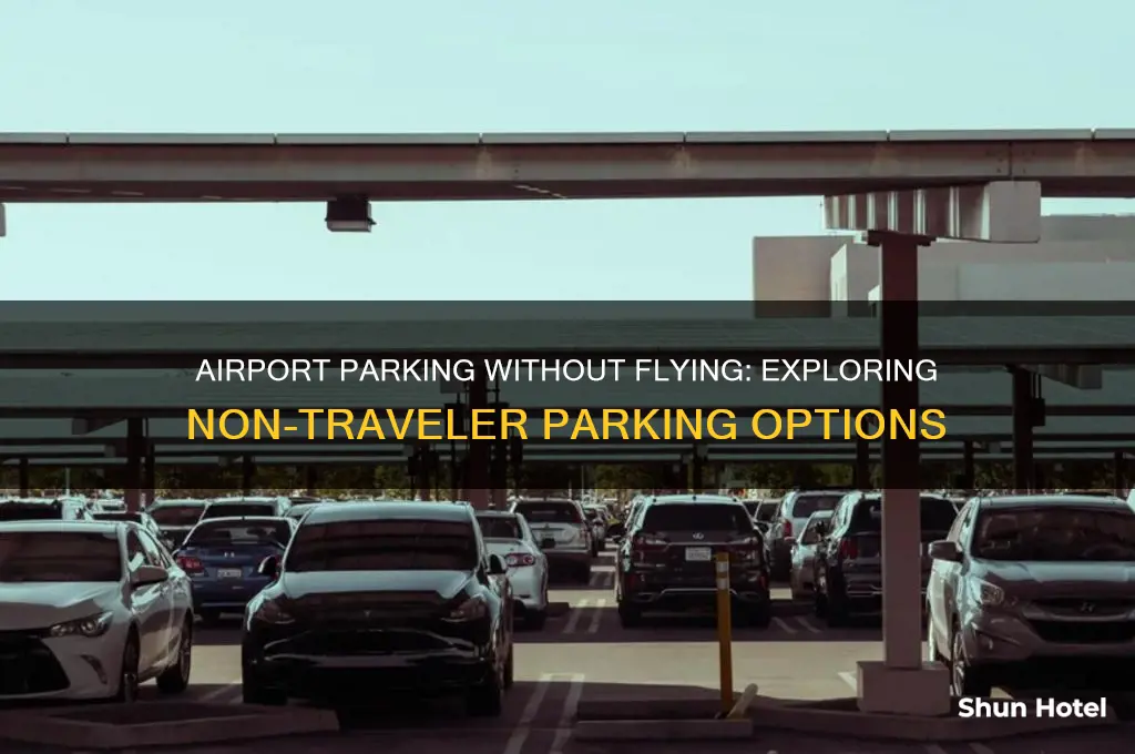 do you need to fly to park at airports