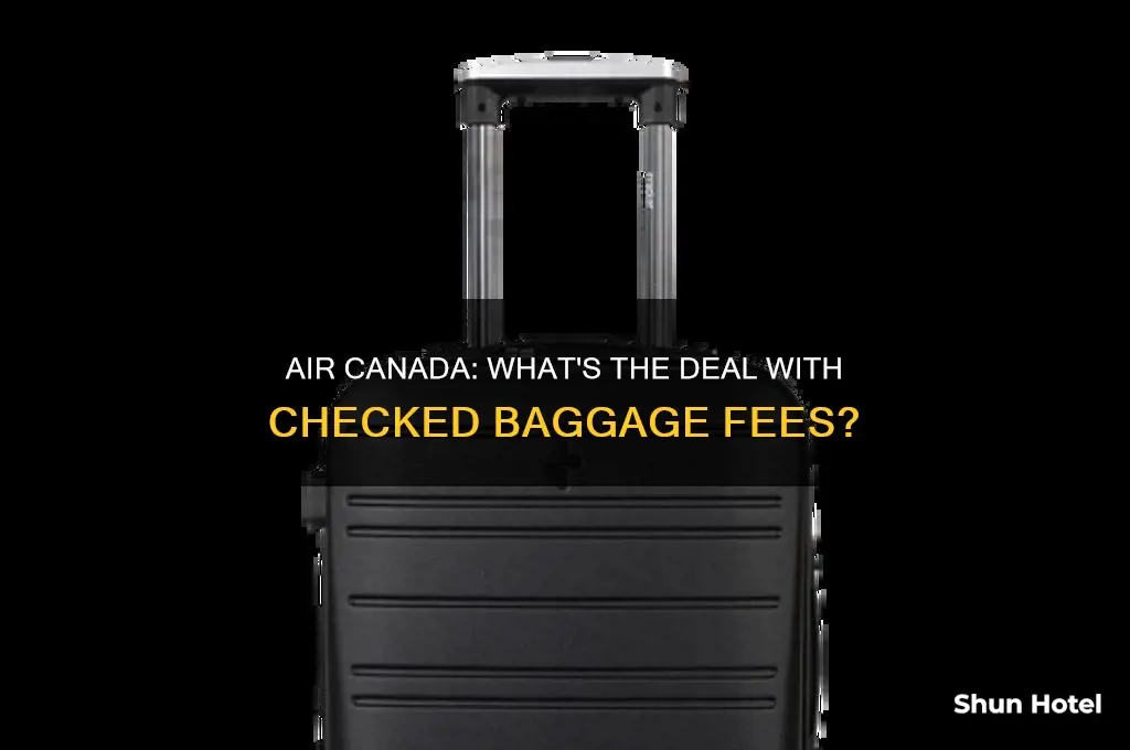 do you pay for checked baggage at airport air canada