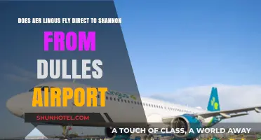 Direct Aer Lingus Flights: Shannon to Dulles Airport Connection