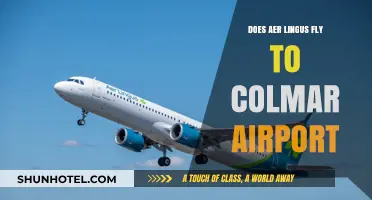 Does Aer Lingus Fly to Colmar Airport? Your Travel Guide