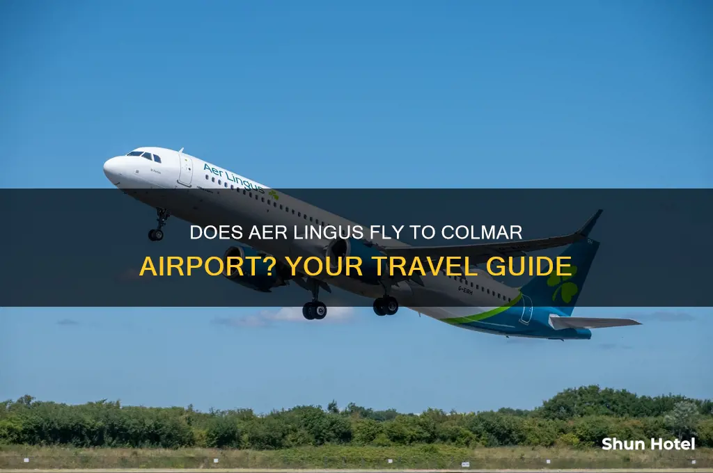 does aer lingus fly to colmar airport