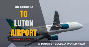 Does Aer Lingus Fly to Luton Airport? Your Travel Guide
