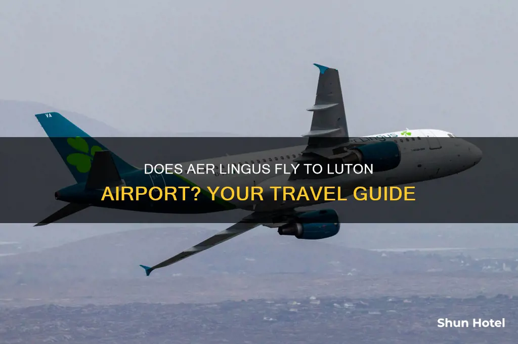 does aer lingus fly to luton airport
