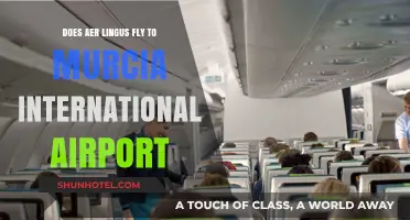 Does Aer Lingus Fly to Murcia International Airport? Find Out Here