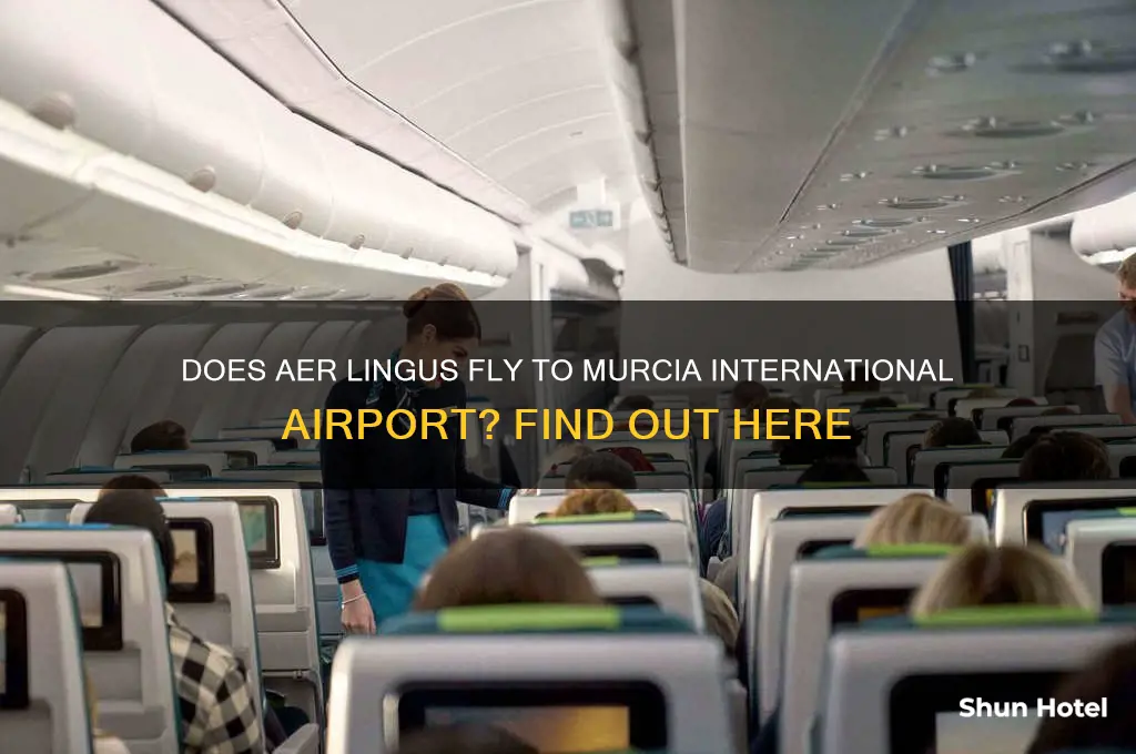 does aer lingus fly to murcia international airport