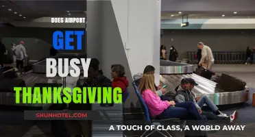 Thanksgiving Travel Rush: How Busy Do Airports Get During the Holiday?