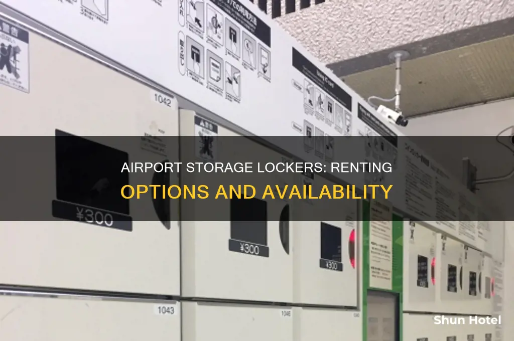 does airport have storage lockers you can rent