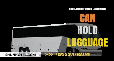 Airport Super Luxury Bus: Can It Hold Luggage?