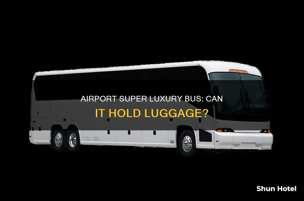 does airport super luxury bus can hold lugguage