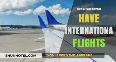 Does Albany Airport Offer International Flights? A Comprehensive Guide