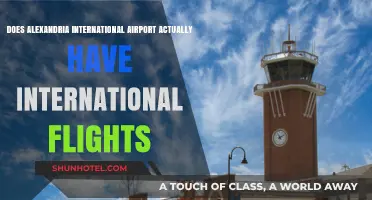 Does Alexandria International Airport Offer Global Destinations?