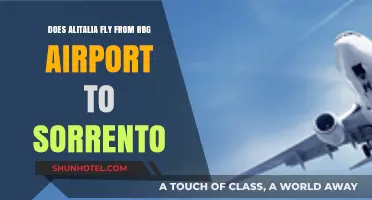 Alitalia Flights from RBG Airport to Sorrento: Routes and Availability