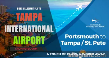 Does Allegiant Fly to Tampa International Airport? Find Out Here