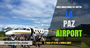 Amaszonas Flights from La Paz Airport: Routes and Destinations