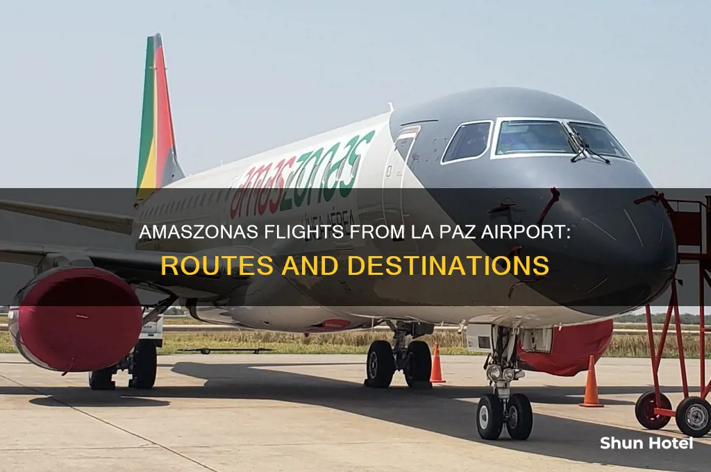 does amaszonas fly out of la paz airport