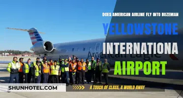 American Airlines Flights to Bozeman Yellowstone International Airport: What to Know