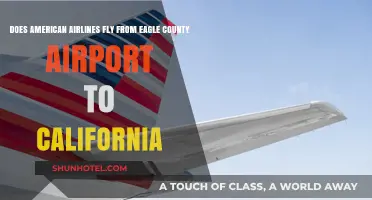 American Airlines Flights from Eagle County Airport to California
