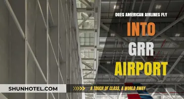 Does American Airlines Fly into GRR Airport? Find Out Here