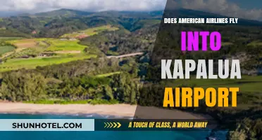 American Airlines Kapalua Airport Flights: Routes, Schedules, and Travel Tips