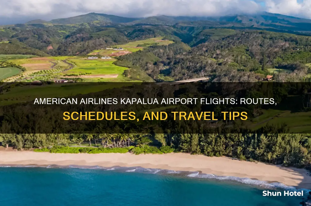 does american airlines fly into kapalua airport