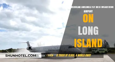 Does American Airlines Service McArthur Airport on Long Island?