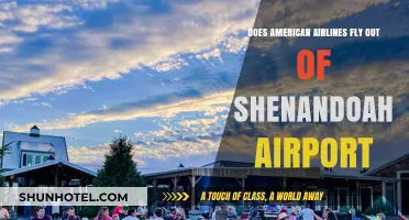 Does American Airlines Operate Flights from Shenandoah Airport?
